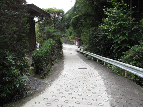 20150929hike (313)